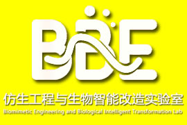 華南理工大學仿生工程與生物智能改造實驗室網站建設簽...